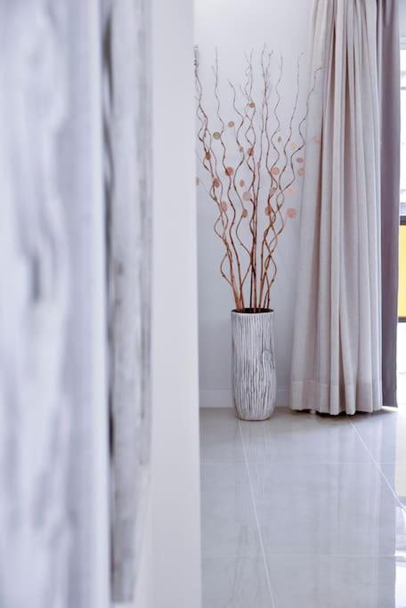 Nice Studio By The Sea 拉克鲁斯 外观 照片